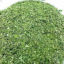 Moringa - Moringa oleifera